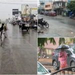 ಬಂಡೀಪುರದಲ್ಲಿ ವರ್ಷದ ಮೊದಲ ವರ್ಷಧಾರೆ- ನಿಟ್ಟುಸಿರು ಬಿಟ್ಟ ಅರಣ್ಯ ಇಲಾಖೆ