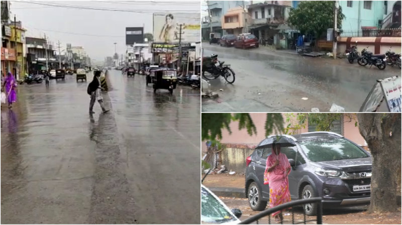 ಬಂಡೀಪುರದಲ್ಲಿ ವರ್ಷದ ಮೊದಲ ವರ್ಷಧಾರೆ- ನಿಟ್ಟುಸಿರು ಬಿಟ್ಟ ಅರಣ್ಯ ಇಲಾಖೆ