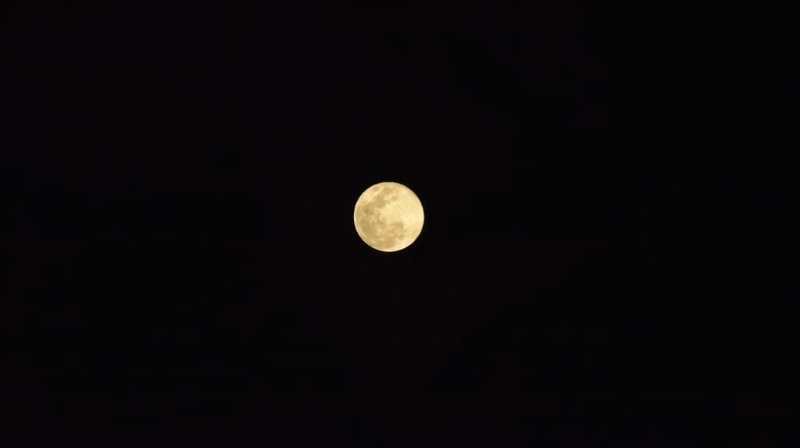 ಕೊರೊನಾ ನಡುವೆ ಆಗಸದಲ್ಲಿ ಮೂಡಿದ ಗುಲಾಬಿ ಚಂದ್ರ