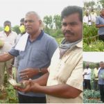 ರೈತರಿಂದ ತರಕಾರಿ ಖರೀದಿಸಿ ಬಡವರಿಗೆ ಹಂಚುತ್ತಿರುವ ಶಾಸಕ