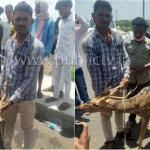 ಕಾಡಿನಿಂದ ನಾಡಿಗೆ ಬಂದ ಜಿಂಕೆಯ ರಕ್ಷಣೆ- ರೈತ, ಯುವಕರ ಕಾರ್ಯಕ್ಕೆ ಶ್ಲಾಘನೆ