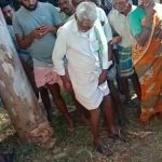 ಆಸ್ತಿ ವ್ಯಾಜ್ಯ- ಮರ ಕಡಿಯುತ್ತಿದ್ದ ಮಗನನ್ನೆ ಕೊಚ್ಚಿ ಕೊಂದ ತಂದೆ