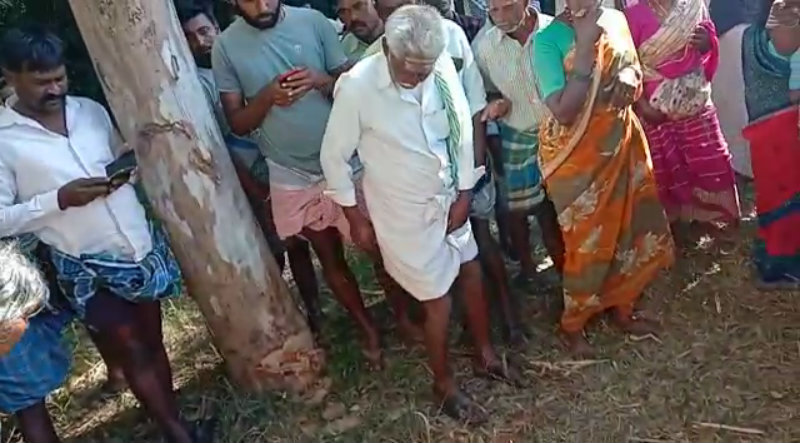 ಆಸ್ತಿ ವ್ಯಾಜ್ಯ- ಮರ ಕಡಿಯುತ್ತಿದ್ದ ಮಗನನ್ನೆ ಕೊಚ್ಚಿ ಕೊಂದ ತಂದೆ