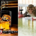 ಎಣ್ಣೆ ಏಟಿನಲ್ಲಿ 250 ಜನರಿಗೆ ಕಚ್ಚಿದ್ದ ಮಂಗಕ್ಕೆ ಜೀವಾವಧಿ ಶಿಕ್ಷೆ