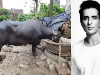 ಮೊದ್ಲ ಕಾರು ಖರೀದಿಸಿದ ವೇಳೆಯೂ ಇಷ್ಟು ಸಂತಸವಾಗಿರಲಿಲ್ಲ: ಸೋನು ಸೂದ್