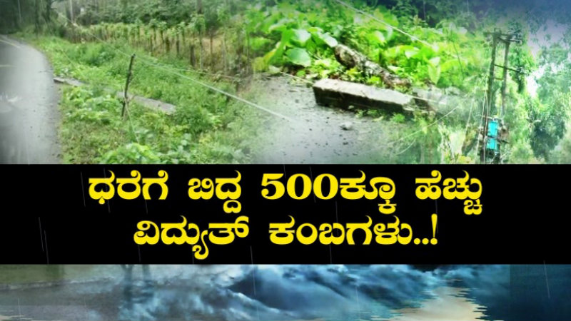 ಆಶ್ಲೇಷ ಮಳೆಗೆ ಹೈರಾಣಾದ ಮಲೆನಾಡು- 500ಕ್ಕೂ ಹೆಚ್ಚು ವಿದ್ಯುತ್ ಕಂಬಗಳು ಧರೆಗೆ