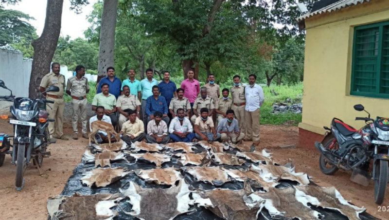 ಮಾರುವೇಷದಲ್ಲಿ ಹೋಗಿ ಕೃಷ್ಣಮೃಗ ಬೇಟೆಗಾರರನ್ನು ಬಂಧಿಸಿದ ಅರಣ್ಯಾಧಿಕಾರಿಗಳು