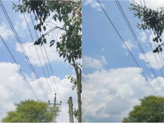 ಆಡು-ಕುರಿಗಳಿಗೆ ಮೇವು ತರಲು ಹೋಗಿ ಮರದ ಮೇಲೆ ಶವವಾದ ರೈತ