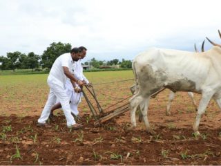 ಪೋಸ್ ಕೊಡುವ ಭರದಲ್ಲಿ ರೈತರನ್ನು ಅವಮಾನಿಸಿದ ಸಂಸದರ ಪುತ್ರ