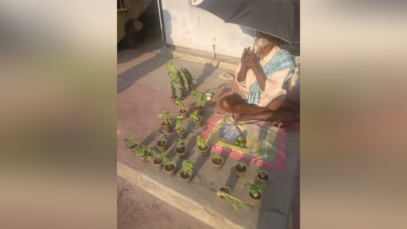 ಬೆಂಗ್ಳೂರು ರಸ್ತೆ ಬದಿ ಸಸಿ ಮಾರುತ್ತಿರೋ ವೃದ್ಧನ ವಿಡಿಯೋ ವೈರಲ್ – ಬಾಲಿವುಡ್ ನಟ, ನಟಿಯರ ಸ್ಪಂದನೆ