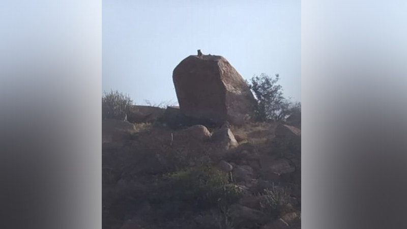 ಸಂಡೂರಿನ ಗುಡ್ಡದಲ್ಲಿ ಕಾಣಿಸಿಕೊಂಡ ಚಿರತೆ – ಮೊಬೈಲ್‍ನಲ್ಲಿ ವಿಡಿಯೋ ಸೆರೆ