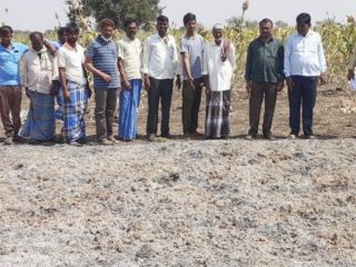 ಕಡಲೆ ರಾಶಿಗೆ ಬೆಂಕಿ ಹಚ್ಚಿ ದುಷ್ಕರ್ಮಿಗಳು ಪರಾರಿ – ಕಂಗಾಲದ ರೈತ