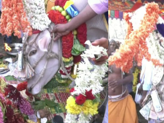 ಐದು ವರ್ಷದ ಸಮಸ್ಯೆಗೆ ಒಂದೇ ಗಂಟೆಯಲ್ಲಿ ಉತ್ತರ ನೀಡಿದ ಬಸವ