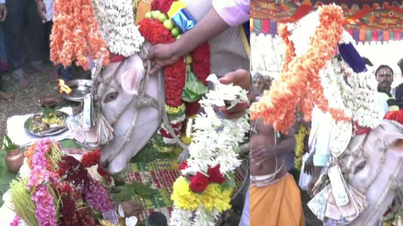 ಐದು ವರ್ಷದ ಸಮಸ್ಯೆಗೆ ಒಂದೇ ಗಂಟೆಯಲ್ಲಿ ಉತ್ತರ ನೀಡಿದ ಬಸವ