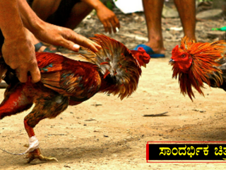 ಸಂಕ್ರಾಂತಿ ವೇಳೆ ಕೋಳಿ ಅಂಕಕ್ಕೆ ಬ್ರೇಕ್ ಹಾಕಲು ಪೊಲೀಸರು ಸಜ್ಜು
