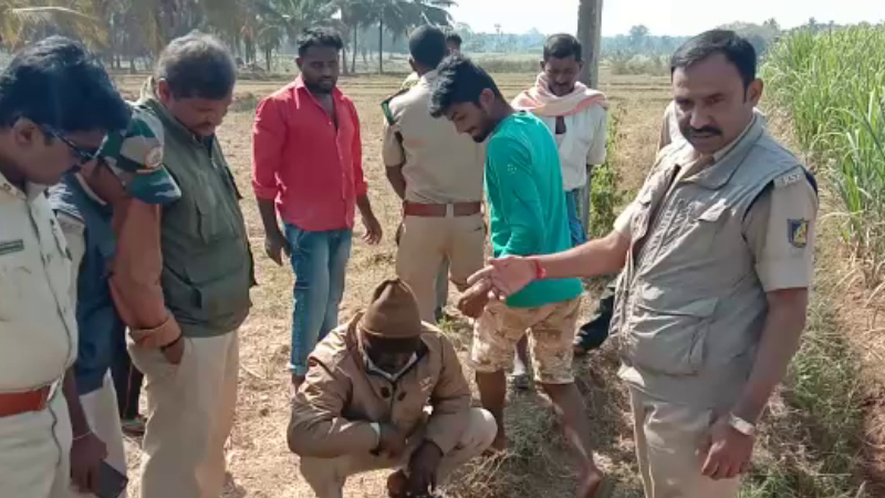 ಸೆಣಸಾಟದಲ್ಲಿ ಚಿರತೆ, ನಾಯಿ ಸಾವು