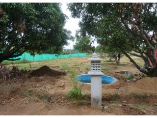 ರಮಣೀಯ ಪರಿಸರದಲ್ಲಿ ಫಾರಂ ಲ್ಯಾಂಡ್‌
