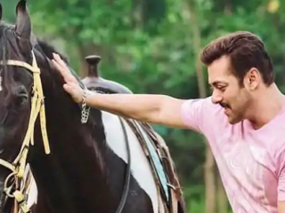 ಸಲ್ಮಾನ್ ಖಾನ್ ಕುದುರೆ ಅಂತ ಮಹಿಳೆಗೆ 12 ಲಕ್ಷ ರೂ. ವಂಚಿಸಿದ್ರು!