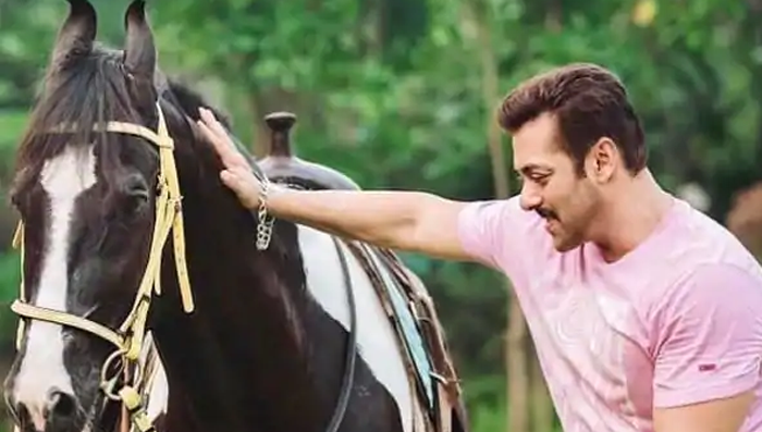 ಸಲ್ಮಾನ್ ಖಾನ್ ಕುದುರೆ ಅಂತ ಮಹಿಳೆಗೆ 12 ಲಕ್ಷ ರೂ. ವಂಚಿಸಿದ್ರು!