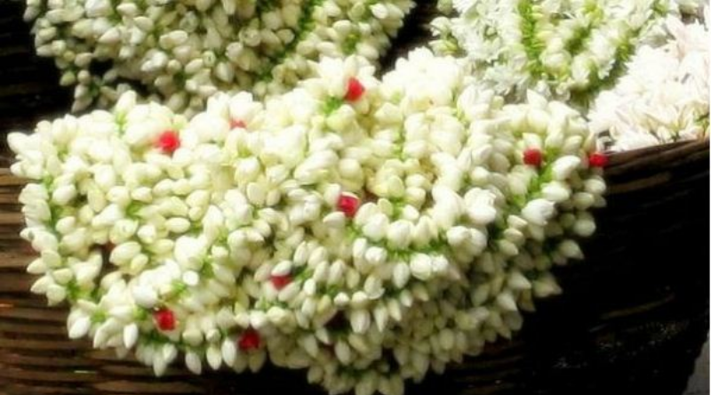 ಶಾಲೆಗೆ ರಜೆ – ಮಲ್ಲಿಗೆ ಹೂವಿನಿಂದ ಬದುಕು ಕಟ್ಟಿಕೊಳ್ಳುತ್ತಿರುವ ಮಕ್ಕಳು