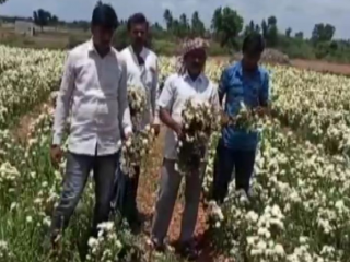 ಸರ್ಕಾರ ಘೋಷಿಸಿದ್ದ ಪರಿಹಾರ ಇನ್ನೂ ತಲುಪಿಲ್ಲ – ಹೂ ಬೆಳೆಗಾರರ ಆರೋಪ