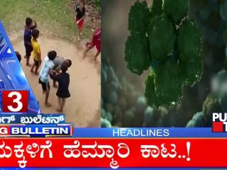 ಬಿಗ್‌ ಬುಲೆಟಿನ್‌ ಮುಖ್ಯಾಂಶಗಳು 11 ಆಗಸ್ಟ್‌ 2021