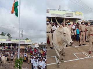 ಧ್ವಜಾರೋಹಣ ಕಾರ್ಯಕ್ರಮಕ್ಕೆ ಗೋ ಮಾತೆ ಎಂಟ್ರಿ
