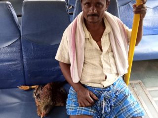 KSRTC ಬಸ್‍ನಲ್ಲಿ ಕೋಳಿ ಪ್ರಯಾಣ- ಟಿಕೆಟ್ ಕೊಟ್ಟ ನಿರ್ವಾಹಕ