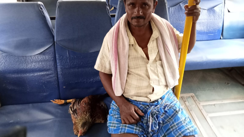 KSRTC ಬಸ್‍ನಲ್ಲಿ ಕೋಳಿ ಪ್ರಯಾಣ- ಟಿಕೆಟ್ ಕೊಟ್ಟ ನಿರ್ವಾಹಕ