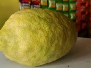 lemon (2)