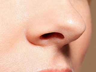 nose