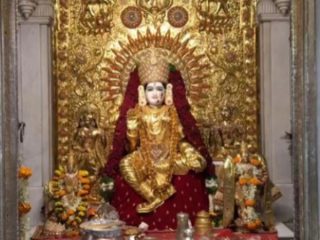 Gold Saree