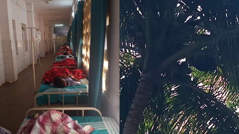 ಶಾಲೆಗೆ ಹೋಗ್ತಿದ್ದ 20ಕ್ಕೂ ಹೆಚ್ಚು ಮಕ್ಕಳ ಮೇಲೆ ಜೇನು ದಾಳಿ – 16 ಮಂದಿ ಗಂಭೀರ