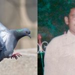ಪಾರಿವಾಳ ವಿಚಾರ ಕೊಲೆಯಲ್ಲಿ ಅಂತ್ಯ