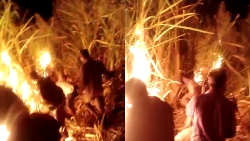 5 ಎಕರೆ ಪ್ರದೇಶದಲ್ಲಿ ಬೆಳೆದಿದ್ದ ಕಬ್ಬು ಸುಟ್ಟು ಭಸ್ಮ