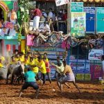 ಜಲ್ಲಿಕಟ್ಟು ಸ್ಪರ್ಧೆ – 30ಕ್ಕೂ ಹೆಚ್ಚು ಮಂದಿಗೆ ಗಾಯ