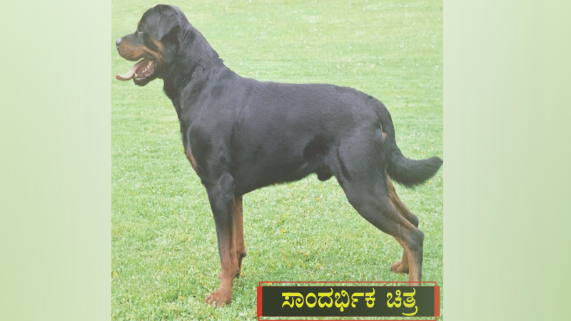 ಮಗುವಿಗೆ ಕಚ್ಚಿದ ನಾಯಿ- ಮಾಲೀಕರ ಬಂಧನ