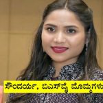 ಸೌಂದರ್ಯ ಸಾವು ನಿಜಕ್ಕೂ ಶಾಕ್ ನೀಡಿದೆ: ಸಹ ವೈದ್ಯರು