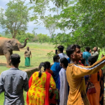 ಮೃಗಾಲಯದ 80 ಸಿಬ್ಬಂದಿಗೆ ಕೊರೊನಾ – ZOO ಬಂದ್‌