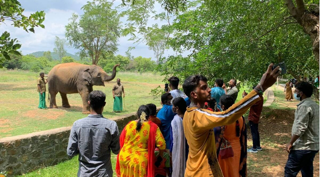 ಮೃಗಾಲಯದ 80 ಸಿಬ್ಬಂದಿಗೆ ಕೊರೊನಾ – ZOO ಬಂದ್‌