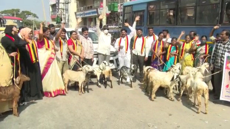 ಕಾಂಗ್ರೆಸ್ ಸರ್ಕಾರ ಇದ್ದಾಗ ಏಕೆ ಮೇಕೆದಾಟು ಯೋಜನೆ ಮಾಡಲಿಲ್ಲ: ವಾಟಾಳ್ ನಾಗರಾಜ್ ಪ್ರಶ್ನೆ