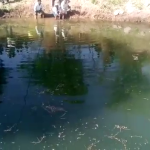 ನೀರು ತರಲು ಹೋದ ಶಿಕ್ಷಕ ಬಾವಿಗೆ ಬಿದ್ದು ಸಾವು