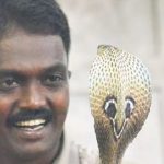 ಉರಗ ತಜ್ಞ ವಾವಾ ಸುರೇಶ್‍ಗೆ ಕಚ್ಚಿದ ನಾಗರಹಾವು – ಸ್ಥಿತಿ ಗಂಭೀರ