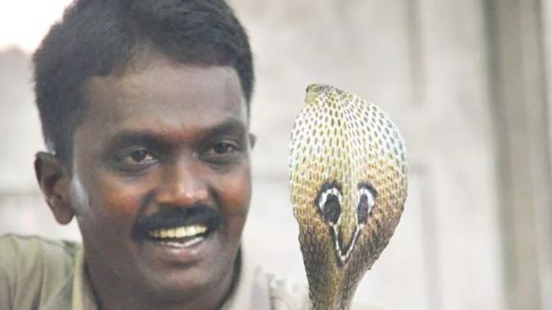ಉರಗ ತಜ್ಞ ವಾವಾ ಸುರೇಶ್‍ಗೆ ಕಚ್ಚಿದ ನಾಗರಹಾವು – ಸ್ಥಿತಿ ಗಂಭೀರ