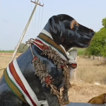 ಮೃತಪಟ್ಟ ಮುದ್ದಿನ ಶ್ವಾನದ ಸವಿನೆನಪಿಗಾಗಿ ದೇಗುಲ ನಿರ್ಮಾಣ