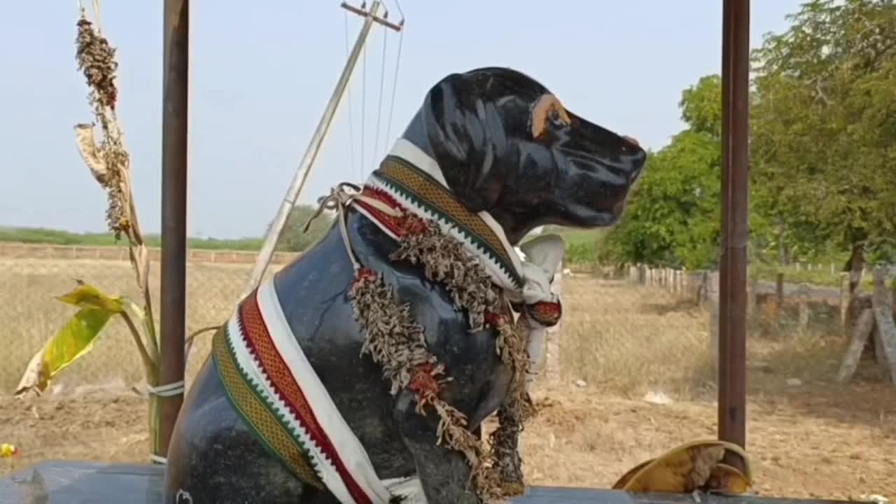ಮೃತಪಟ್ಟ ಮುದ್ದಿನ ಶ್ವಾನದ ಸವಿನೆನಪಿಗಾಗಿ ದೇಗುಲ ನಿರ್ಮಾಣ