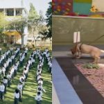 ಬೆಂಗಳೂರಿನ 9 ಶಾಲೆಗಳಿಗೆ ಬಾಂಬ್ ಬೆದರಿಕೆ