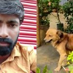 ಮಾಲೀಕ ಸತ್ತು 10 ದಿನವಾದರೂ ಕಡಿಮೆಯಾಗದ ಶ್ವಾನದ ಪ್ರೀತಿ