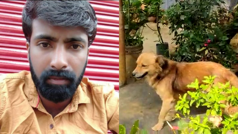 ಮಾಲೀಕ ಸತ್ತು 10 ದಿನವಾದರೂ ಕಡಿಮೆಯಾಗದ ಶ್ವಾನದ ಪ್ರೀತಿ