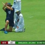 Cricket